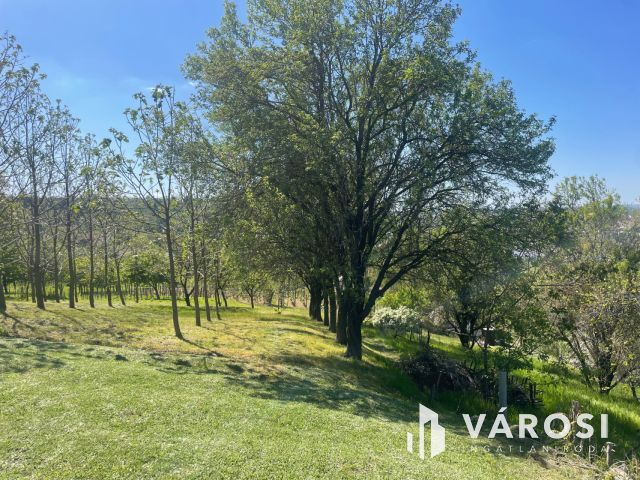 Nyugalom és panoráma egy helyen